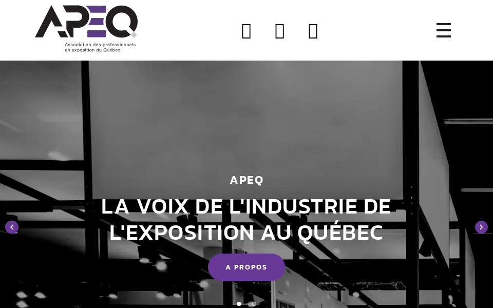 apeq.org/ screen capture