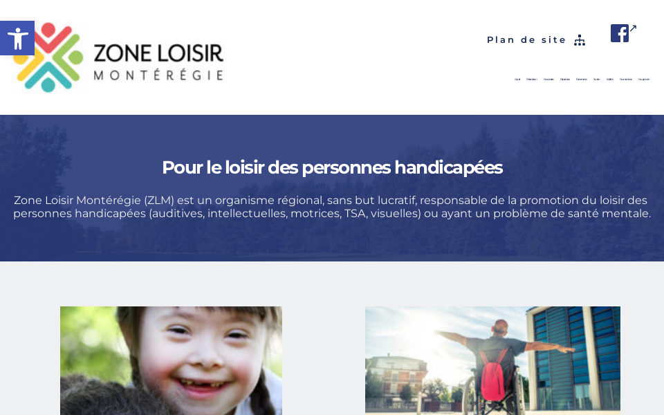 zlm.qc.ca/ screen capture