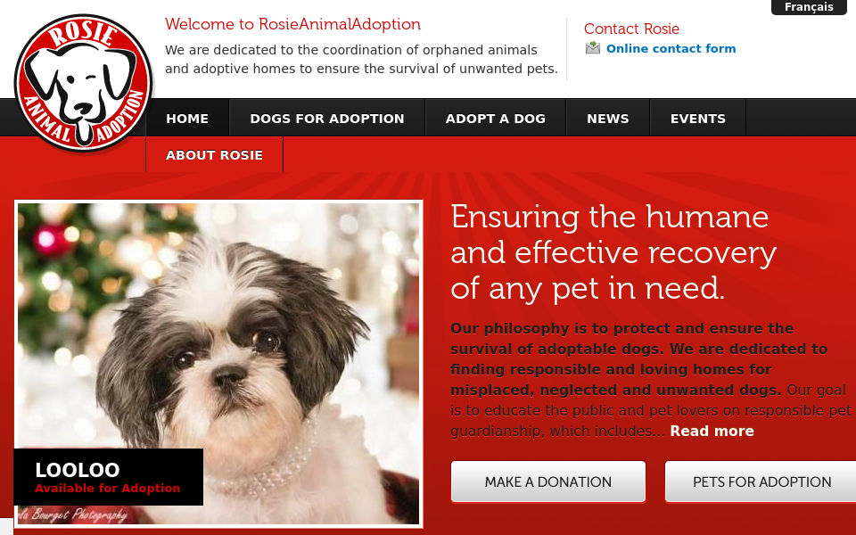 www.rosieanimaladoption.ca/ screen capture