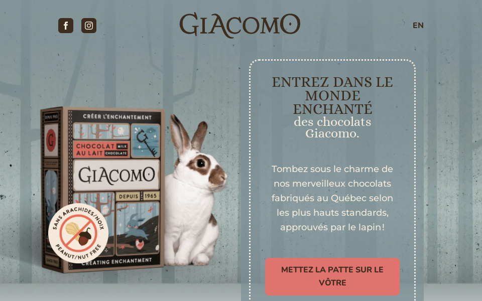 www.chocolatsgiacomo.ca/ screen capture