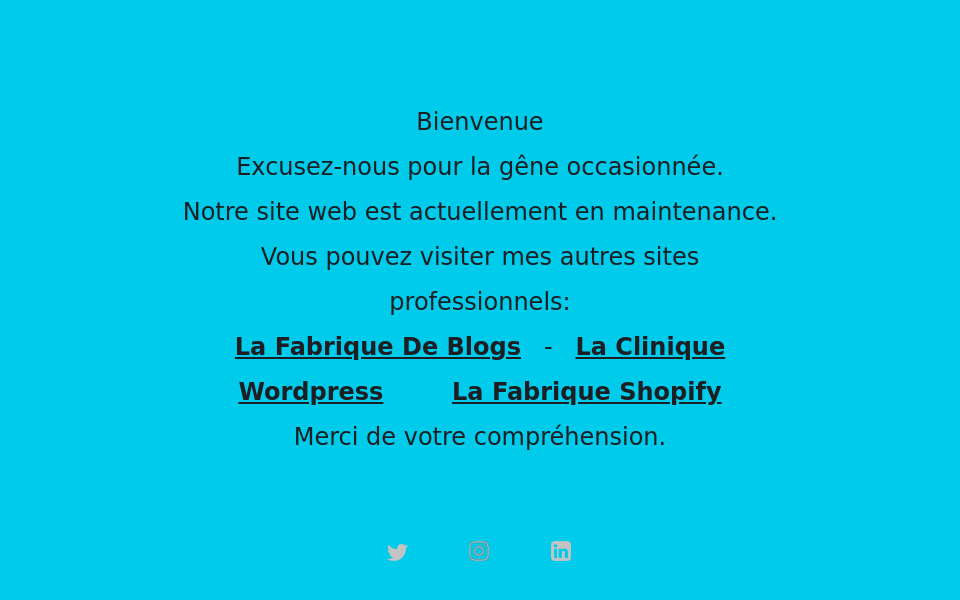 /blog screen capture