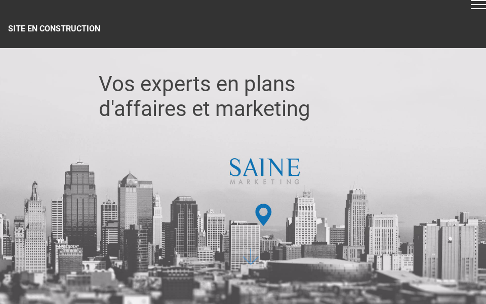 sainemarketing.com/ screen capture