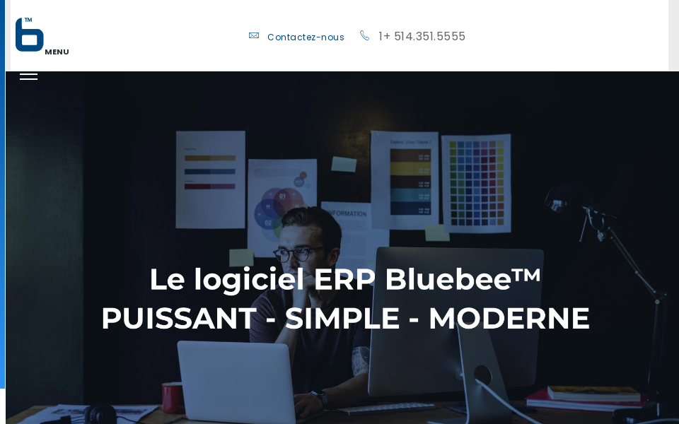 bluebeesoftware.com/ screen capture