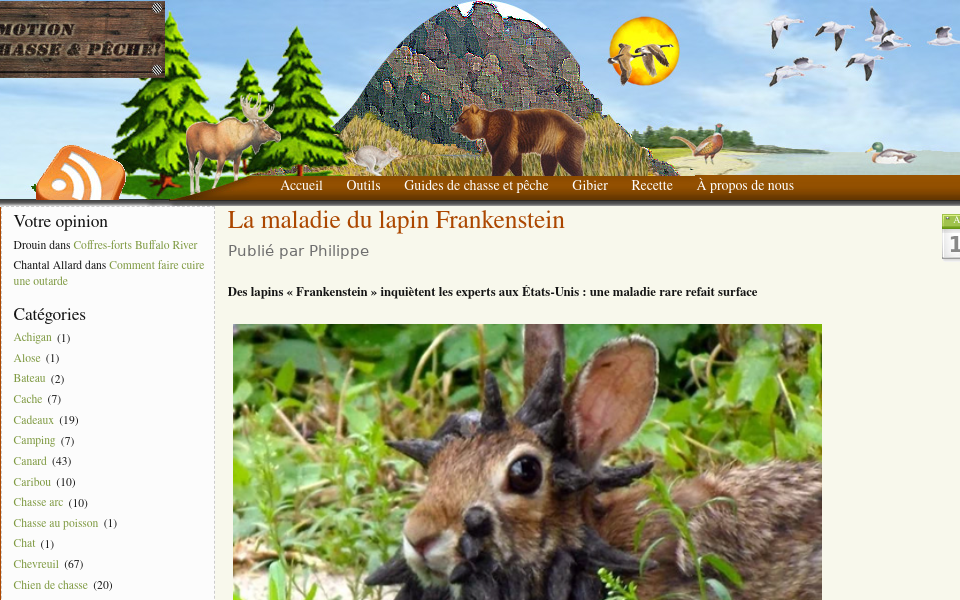 emotionchassepeche.com/ screen capture