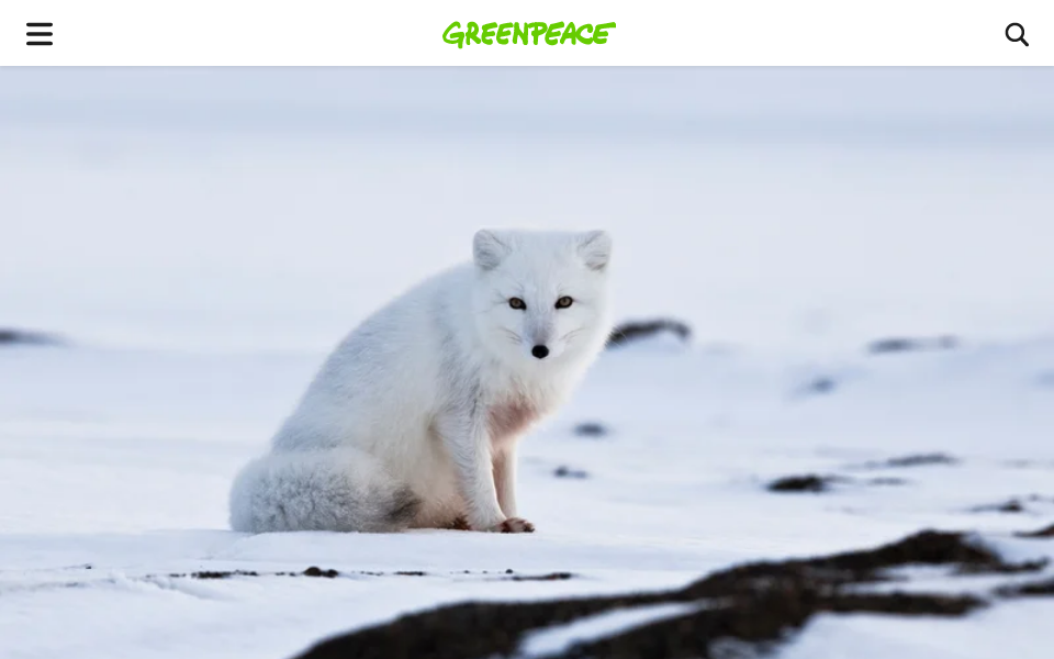 www.greenpeace.org/canada/ screen capture