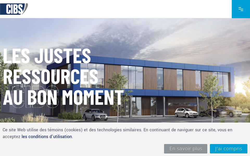 legroupecibs.com/ screen capture