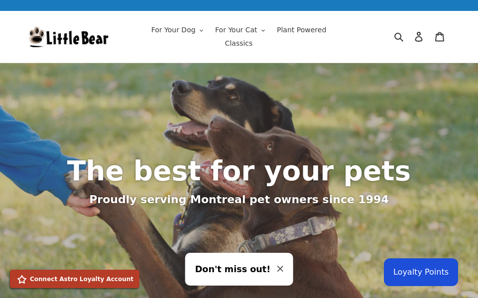 littlebearonline.com/ screen capture