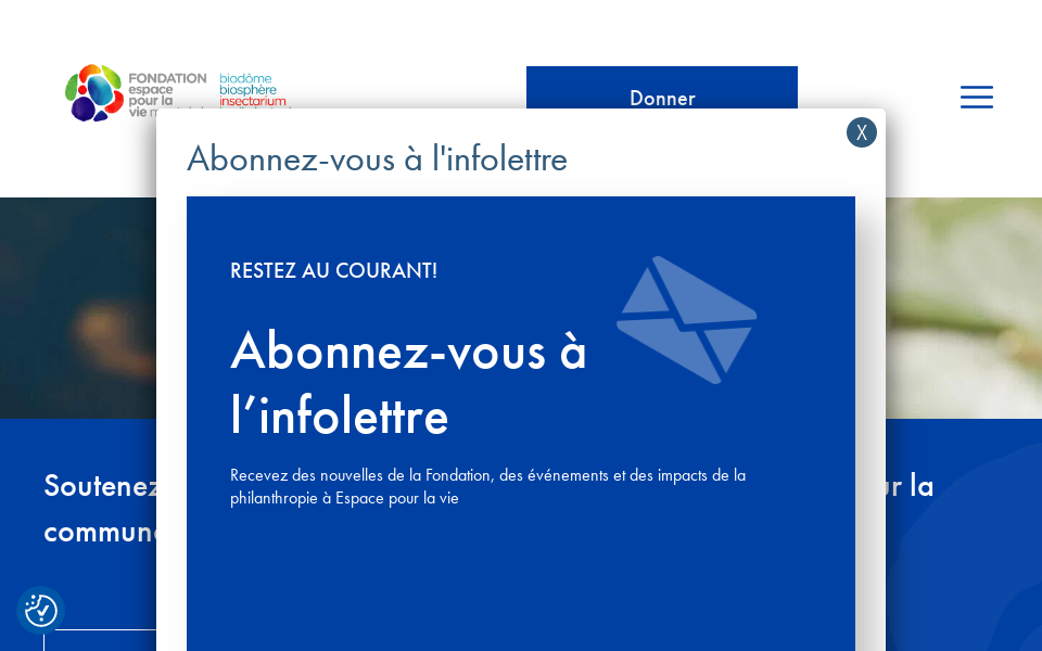 fondationespacepourlavie.ca/ screen capture