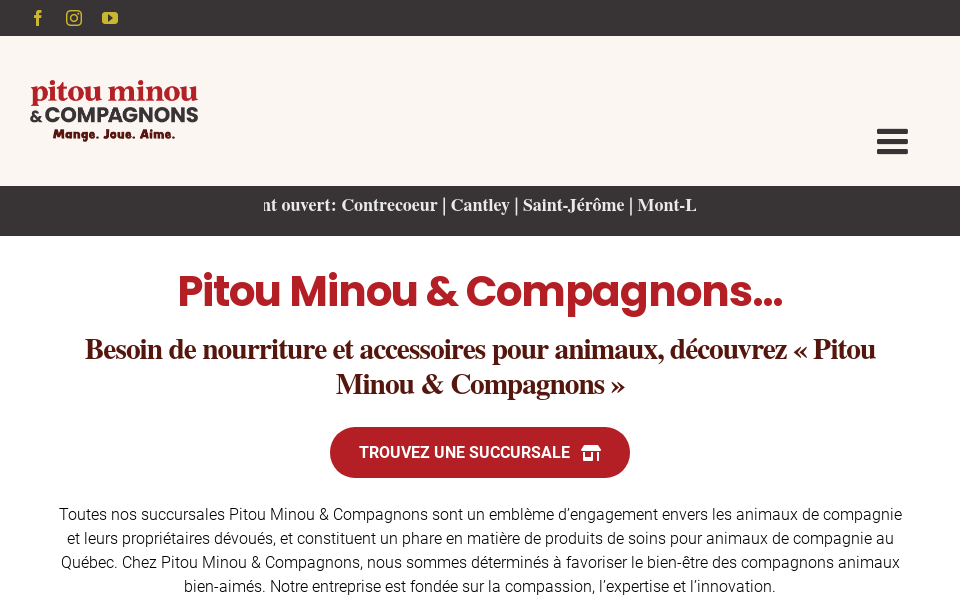 pmcglobal.ca/ screen capture