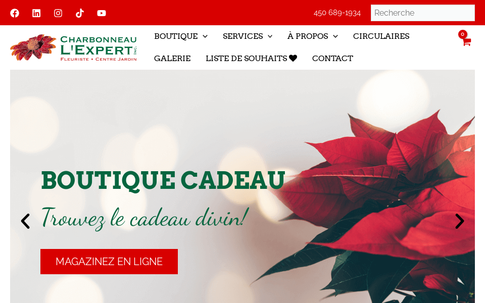 charbonneaulexpert.com/ screen capture