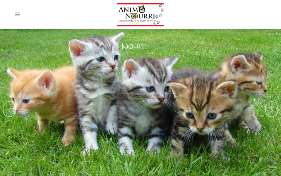 animo-nourri.ca/ screen capture