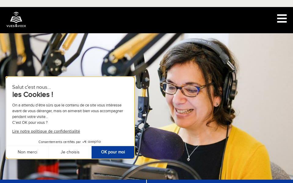 www.vuesetvoix.com/ screen capture