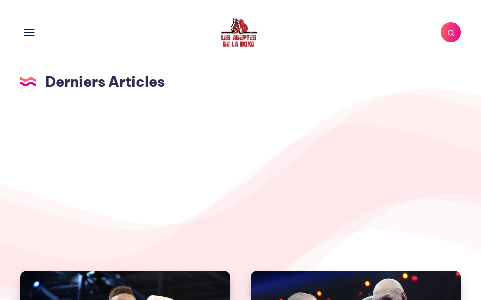 lesadeptesdelaboxe.com/ screen capture