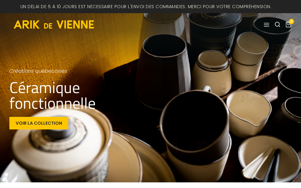 arikdevienne.com/ screen capture