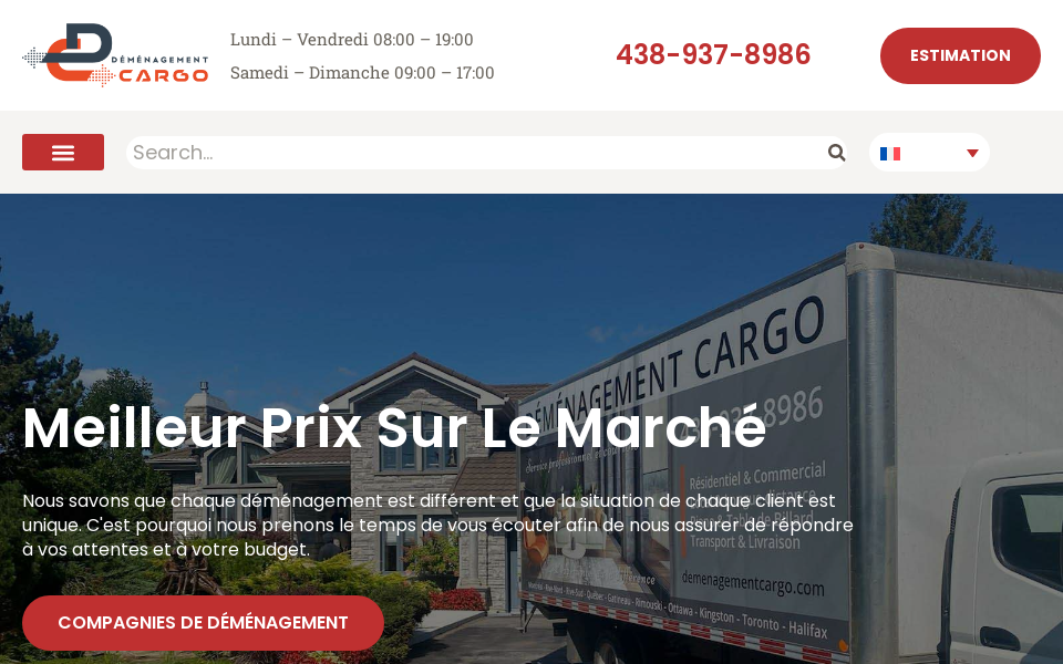 demenagementcargo.com/ screen capture