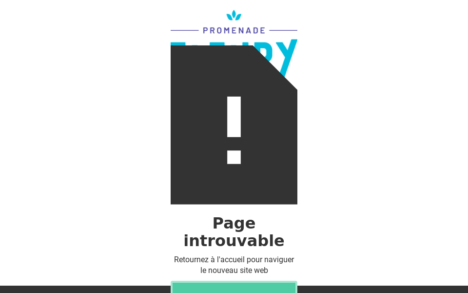 twitter.com/PromenadeFleury screen capture