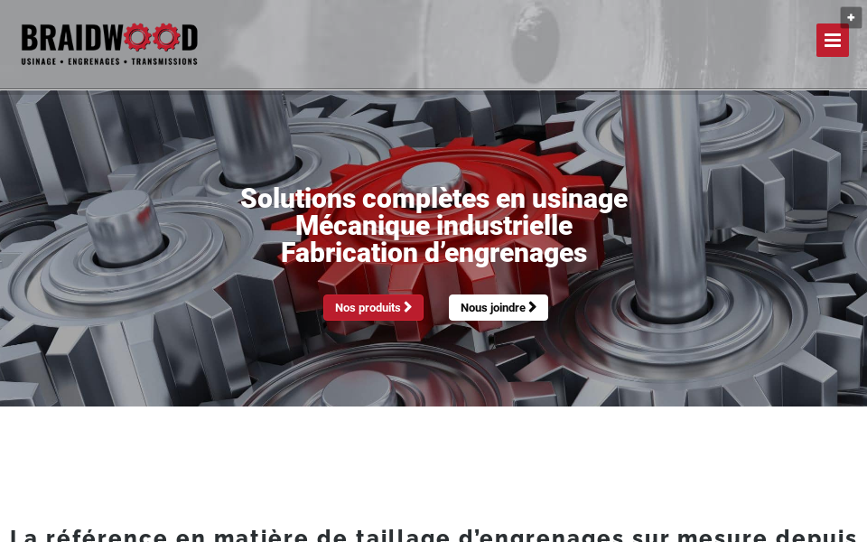 braidwoodgear.com screen capture