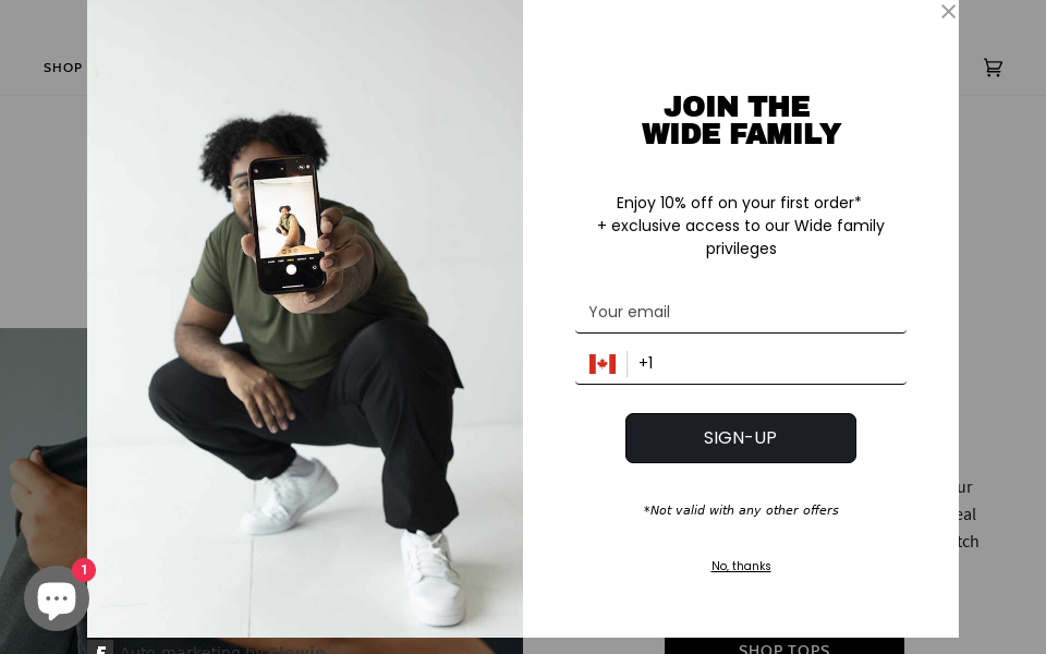 widethebrand.com screen capture