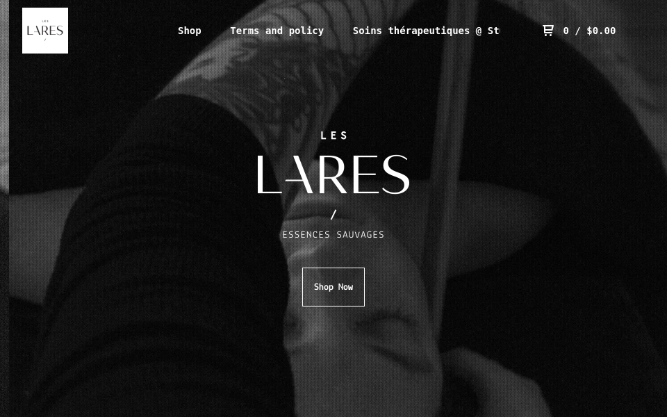 www.leslares.com/ screen capture