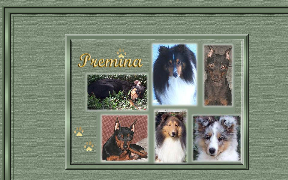 premina.ca/ screen capture