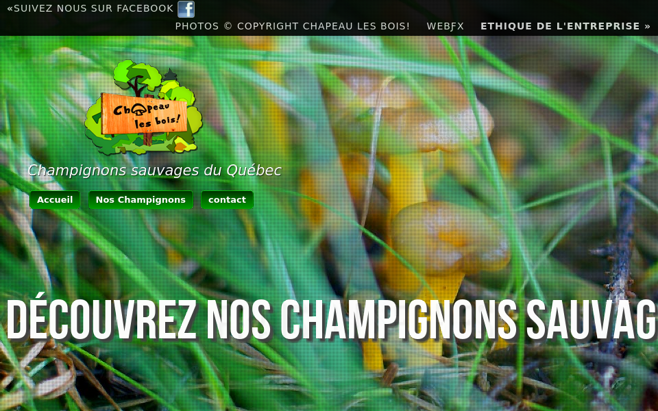 chapeaulesbois.com/ screen capture