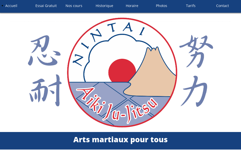 www.nintai.ca/ screen capture