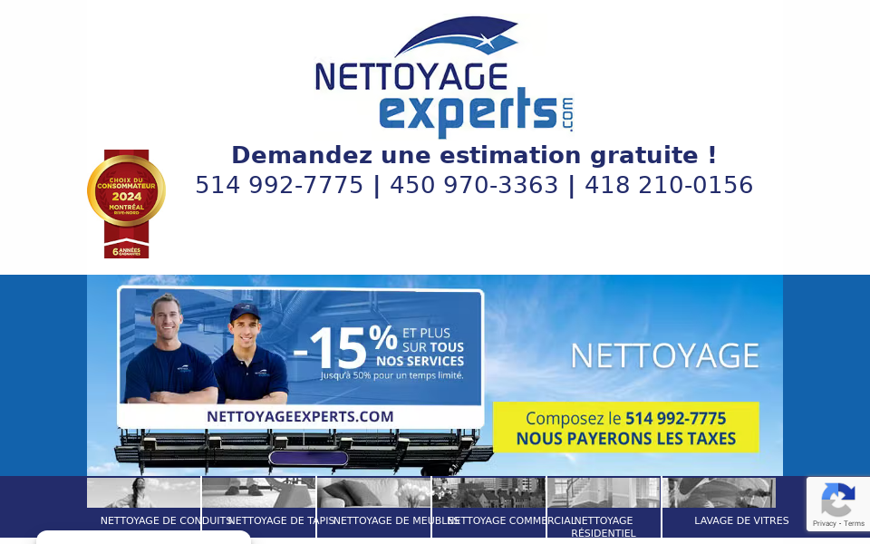 nettoyageexperts.com/ screen capture