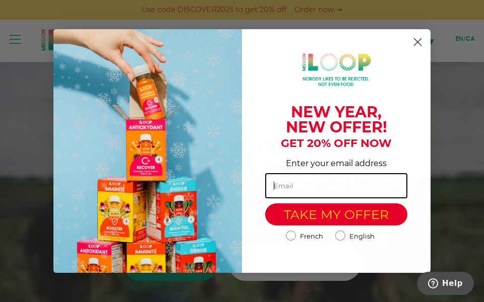 loopmission.com/ screen capture