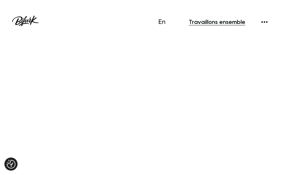 bifurk.com/ screen capture