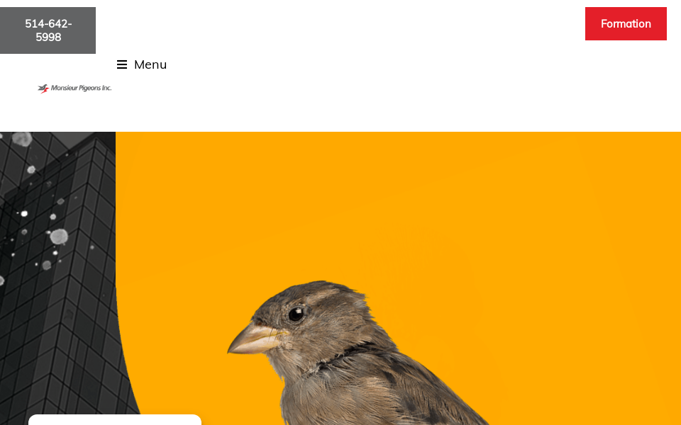 mpigeons.com/ screen capture