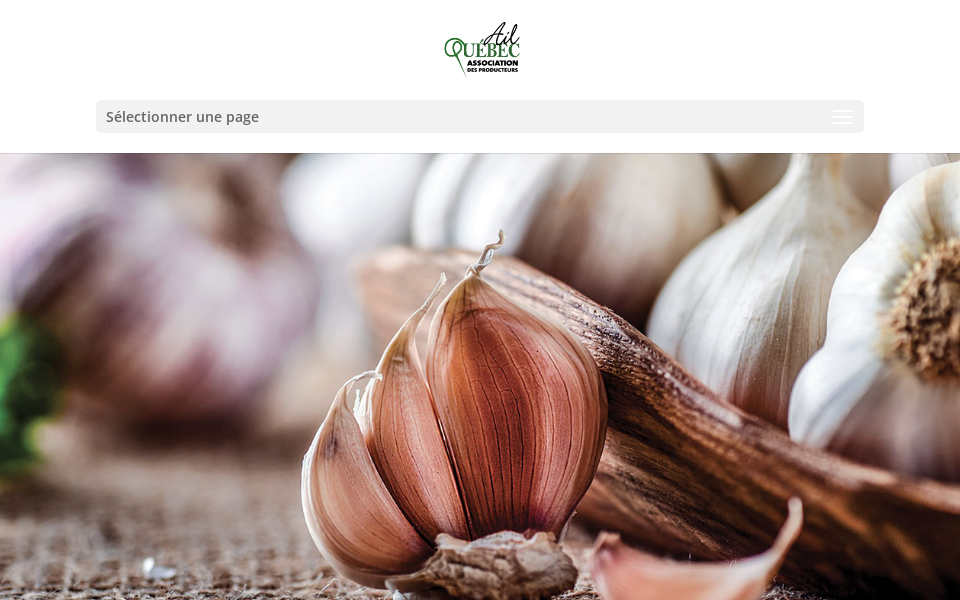 ail.quebec/ screen capture