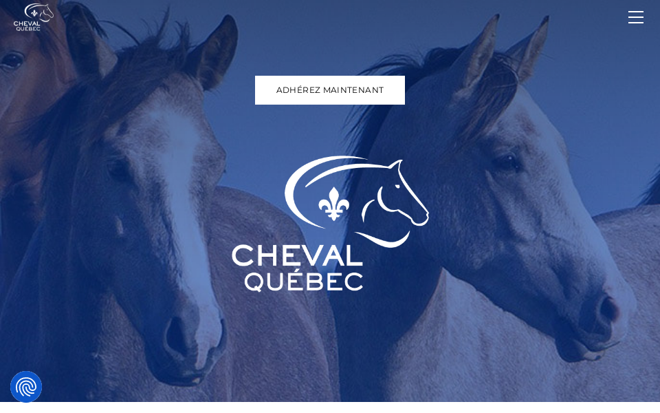 www.cheval.quebec/ screen capture