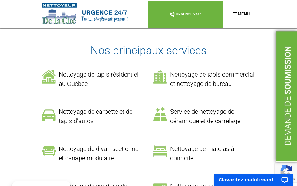 nettoyeurdelacite.com/ screen capture